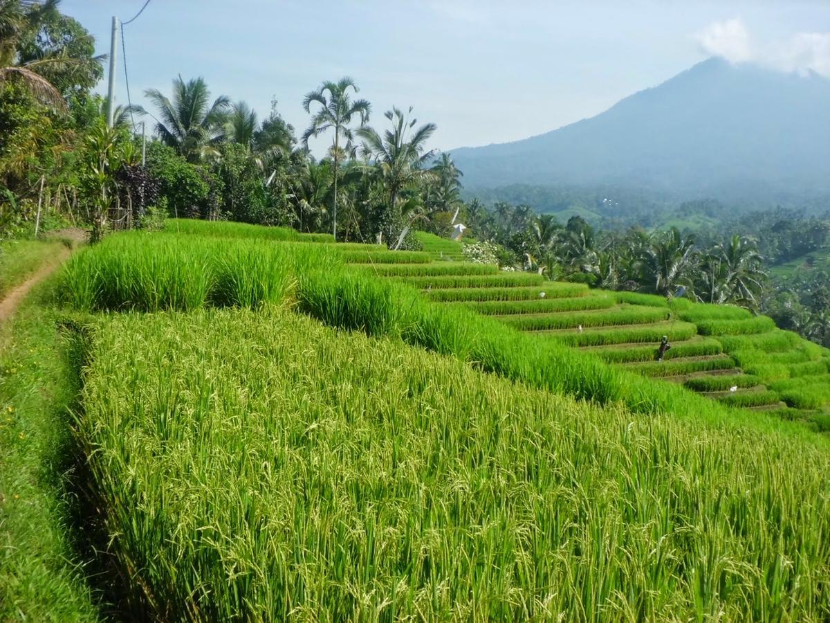 Zen Rooms Kuta Tuban Suites Екстериор снимка